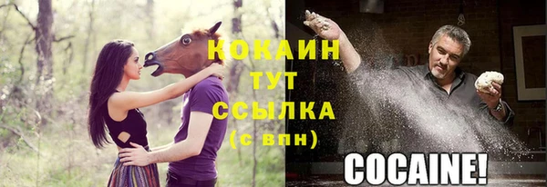 мяу мяу мука Алексеевка